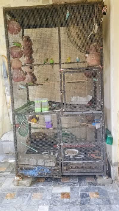 premium Bird cage