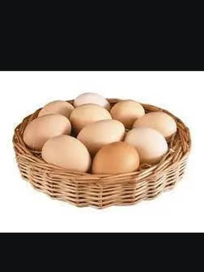 pure desi fresh Eggs Best Quality available 0.3. 17.048. . 55. . 00