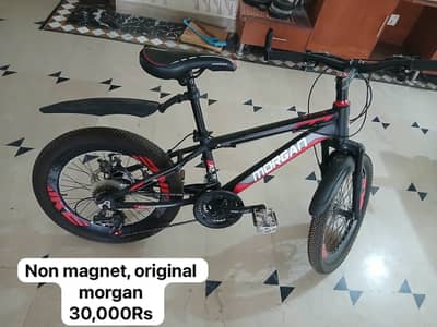 Morgan Bicycle in Excellent Condition