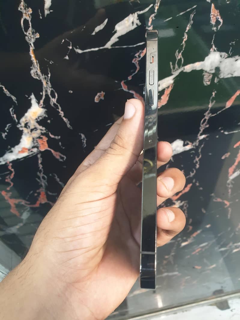 iPhone 13 Pro Max 1