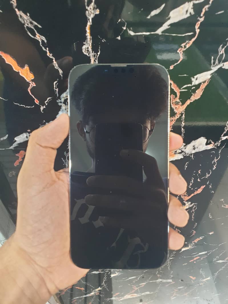 iPhone 13 Pro Max 2