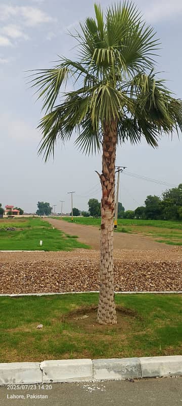 Prime Location 3 Marla Plot For Sale In AlGhani Garden Phase 6 SQUARE AVENUE