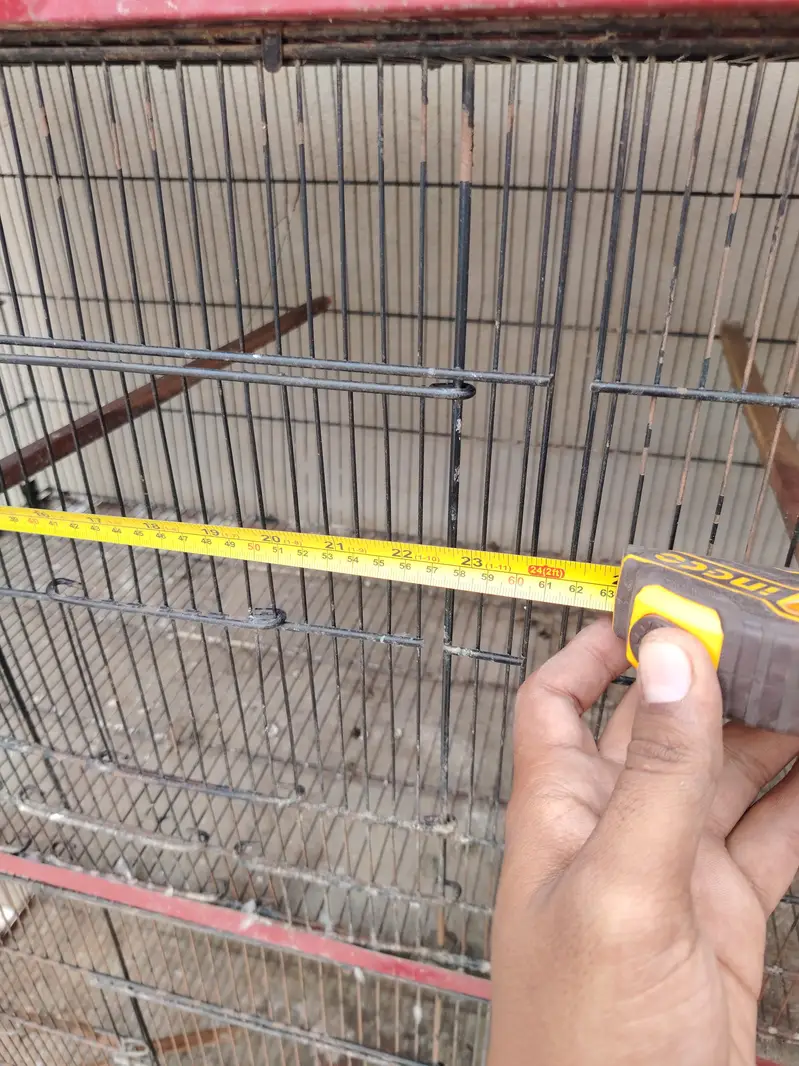 lovebirds cage 12 portion — photo 2