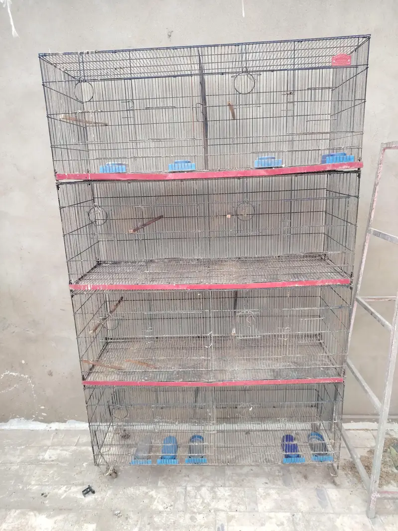 lovebirds cage 12 portion — photo 3