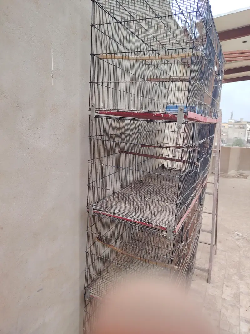 lovebirds cage 12 portion — photo 4