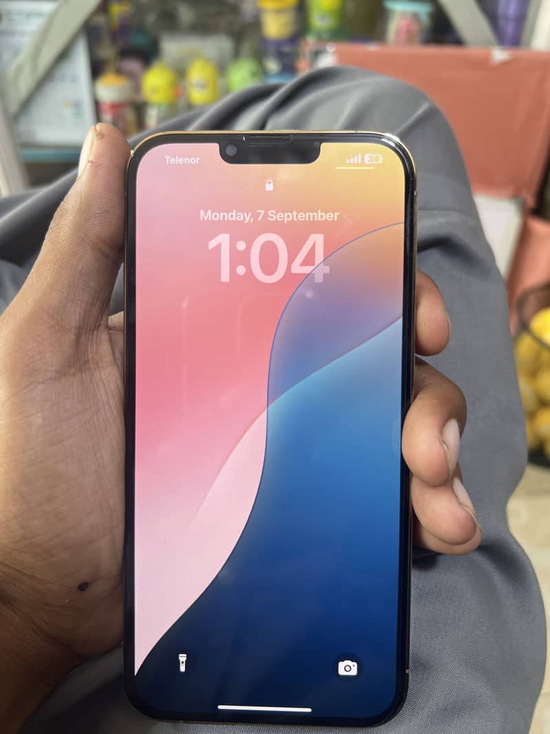 iPhone 13 Pro Max 1