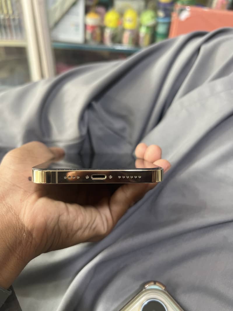 iPhone 13 Pro Max 2