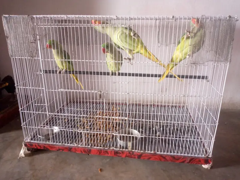 Cage for sale — photo 2