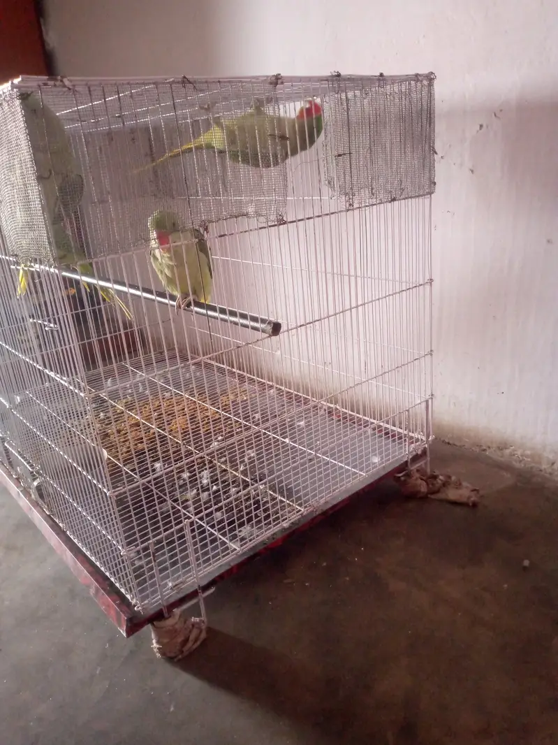 Cage for sale — photo 3