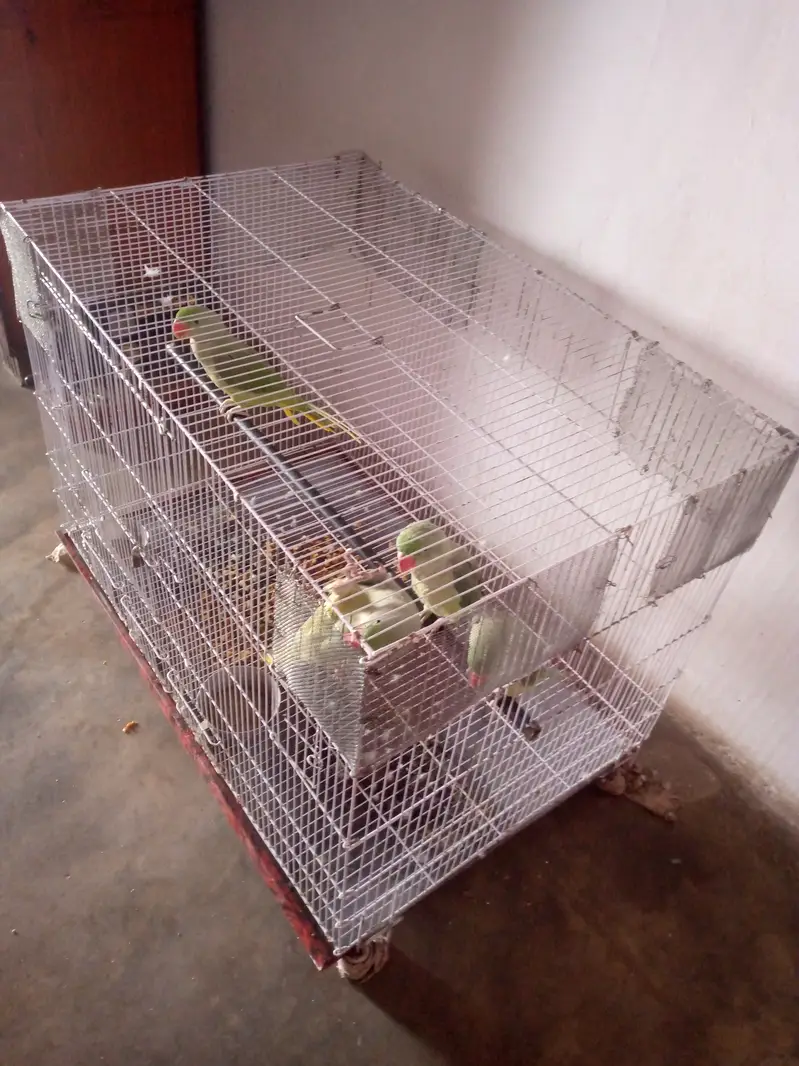 Cage for sale — photo 4