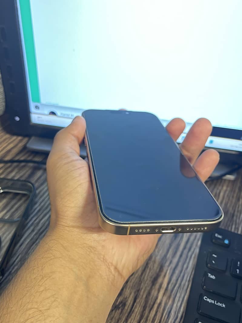 Apple iPhone 16 Pro Max 1