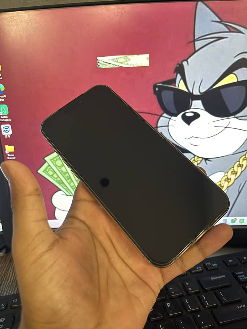 Apple iPhone 16 Pro Max 4