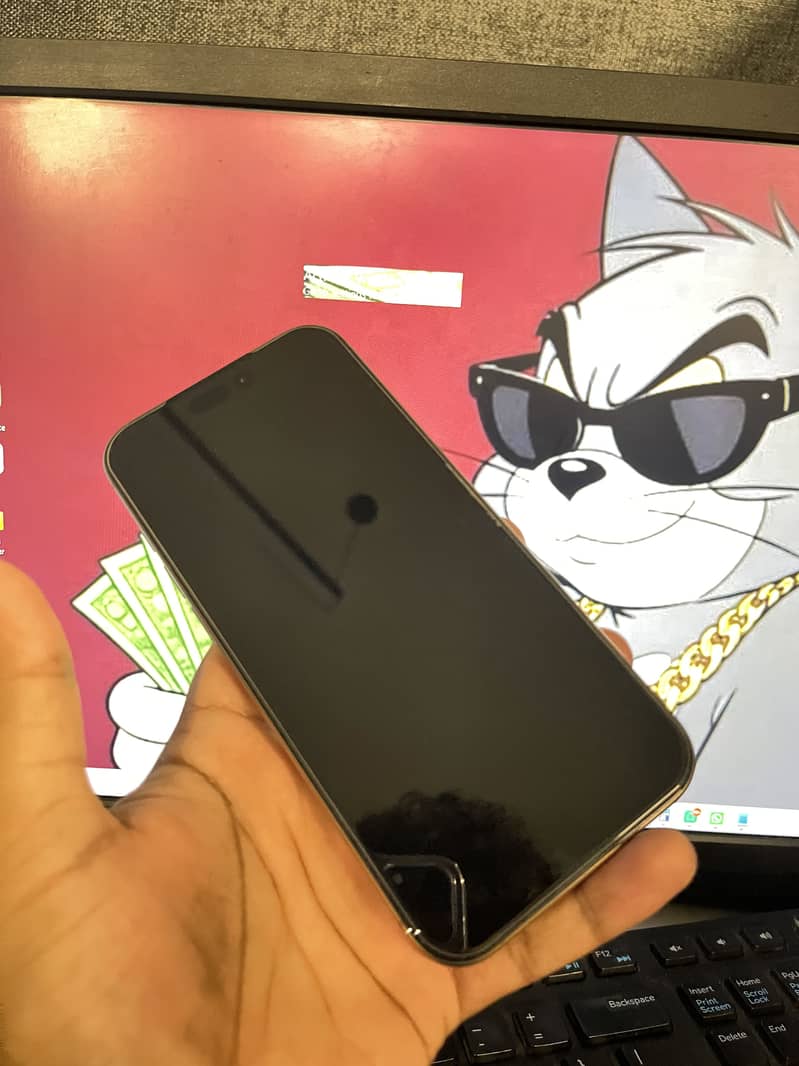 Apple iPhone 16 Pro Max 5