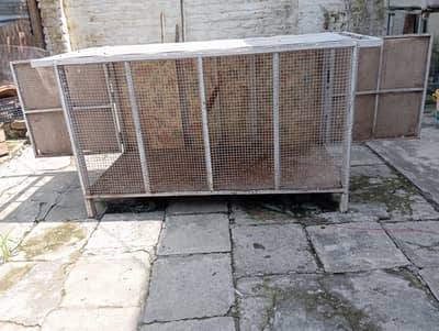 bird cage