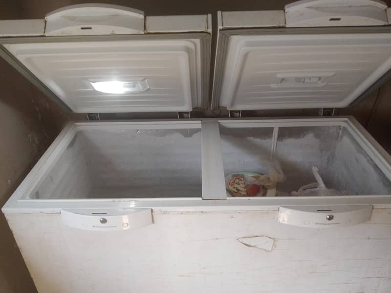 d freezer 1