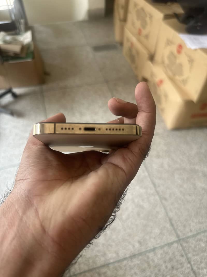 Apple iPhone 12 Pro Max 1