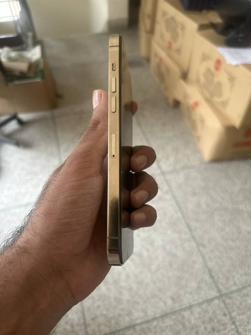 Apple iPhone 12 Pro Max 2
