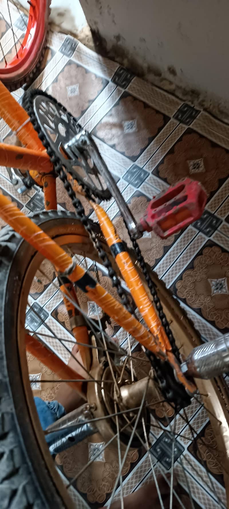 cycle 0