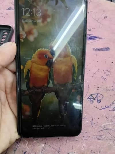 Vivo Other Model vivo y11
