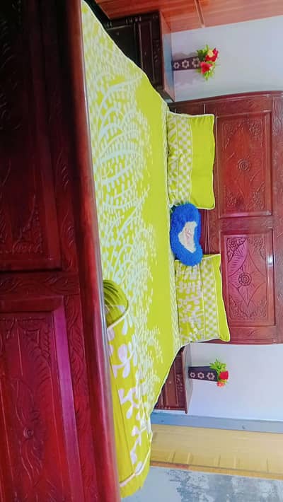 plZ only serious person buy karny k liye contact krain