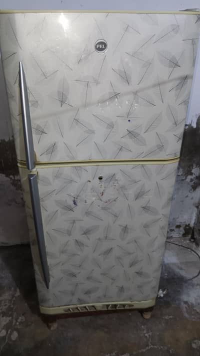 pel fridge