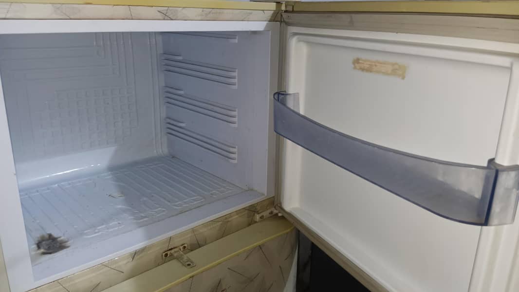 pel fridge 1