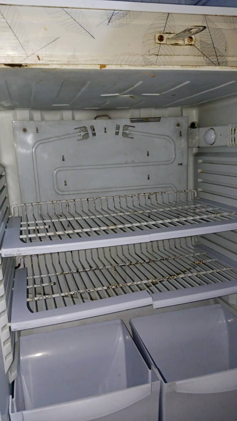 pel fridge 3