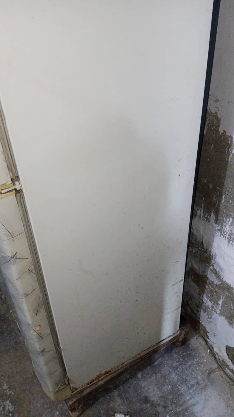 pel fridge 5
