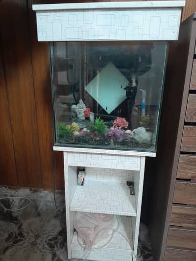Fish aquarium with all accessories for sale