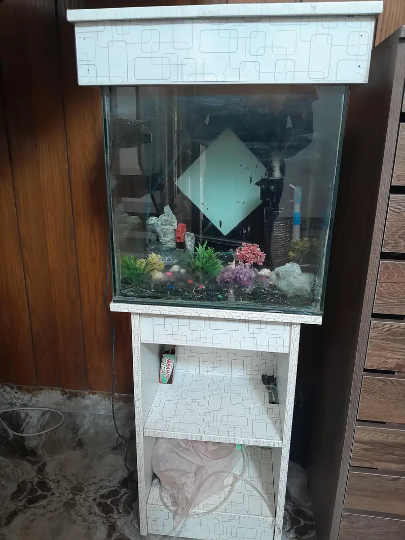Fish aquarium with all accessories for sale