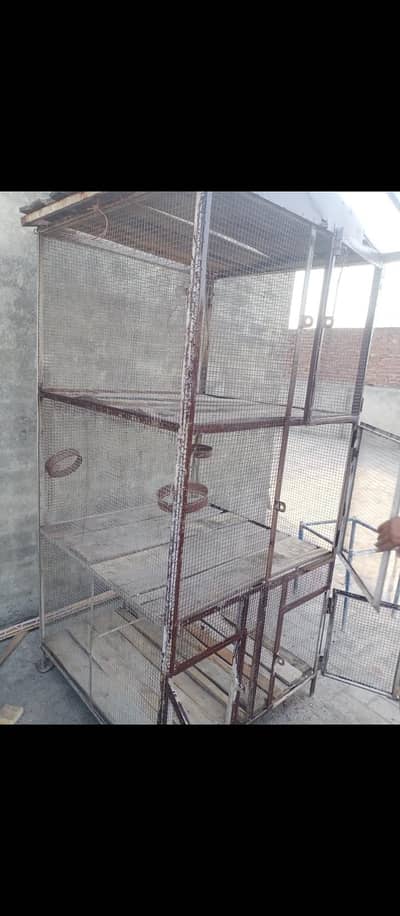 cage pinjra 6.5 feet by 3 feet