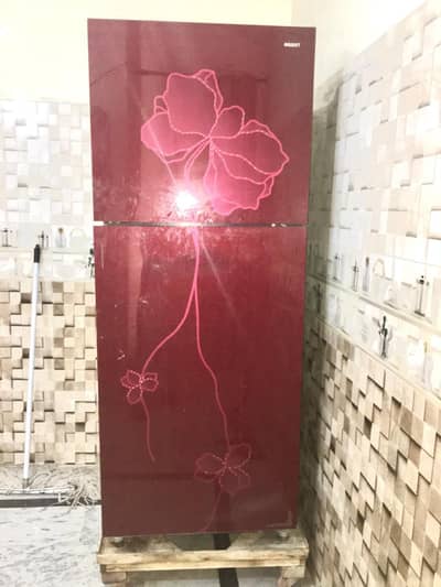 Orient 12 Cubic Feet Double Door Glass Door Refrigerator