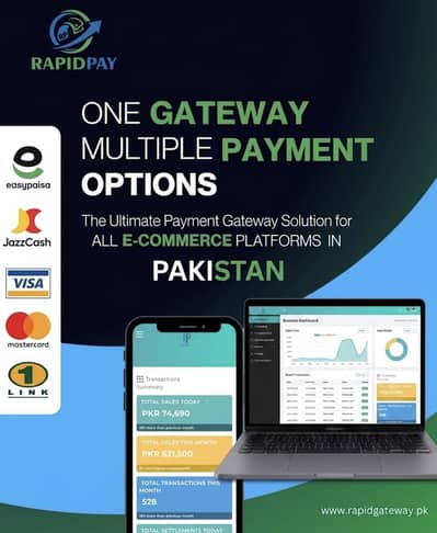 Rapidpay PVT LTD for sale