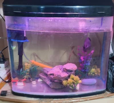 Aquarium for sale