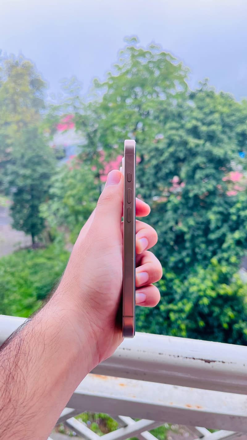 Apple iPhone 16 Pro 2