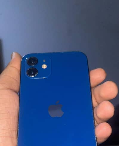 Apple iPhone 12