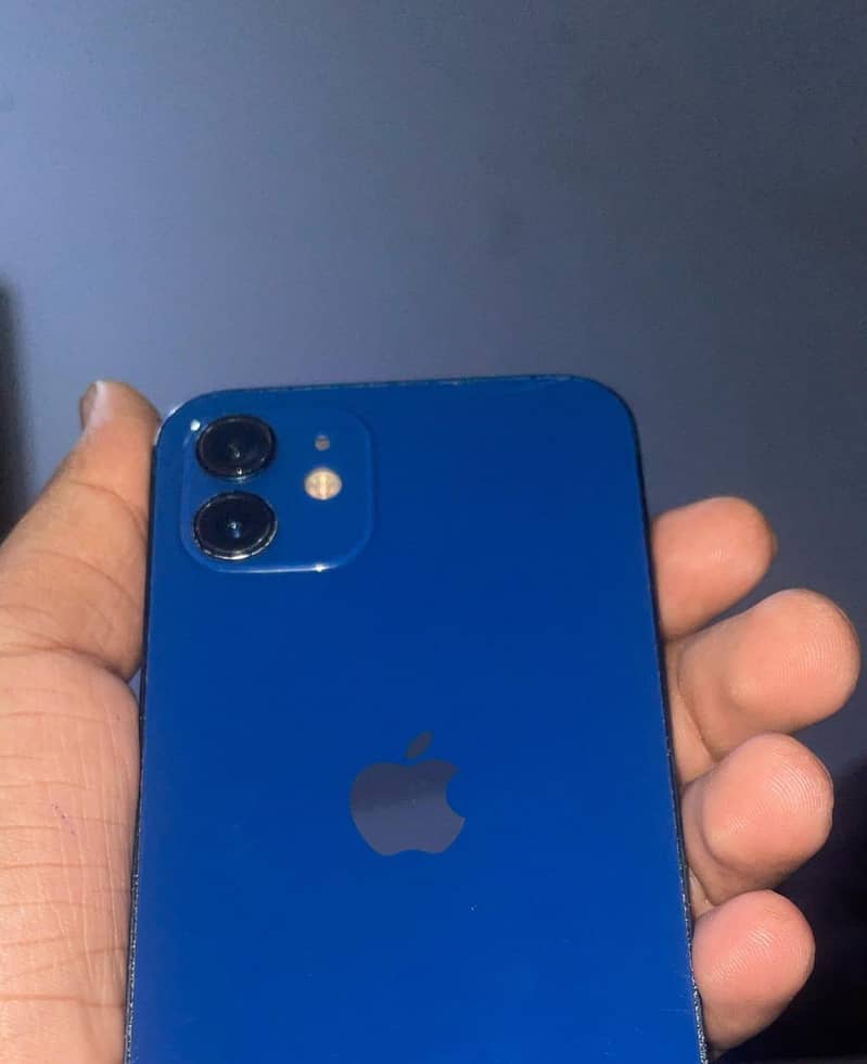 Apple iPhone 12 1