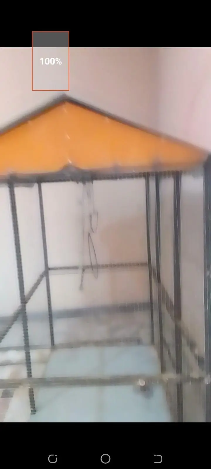 Birds cage پرندوں کا پنجرہ — photo 3