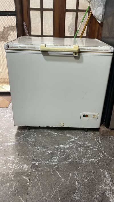 hair big freezer in perfect working condition.