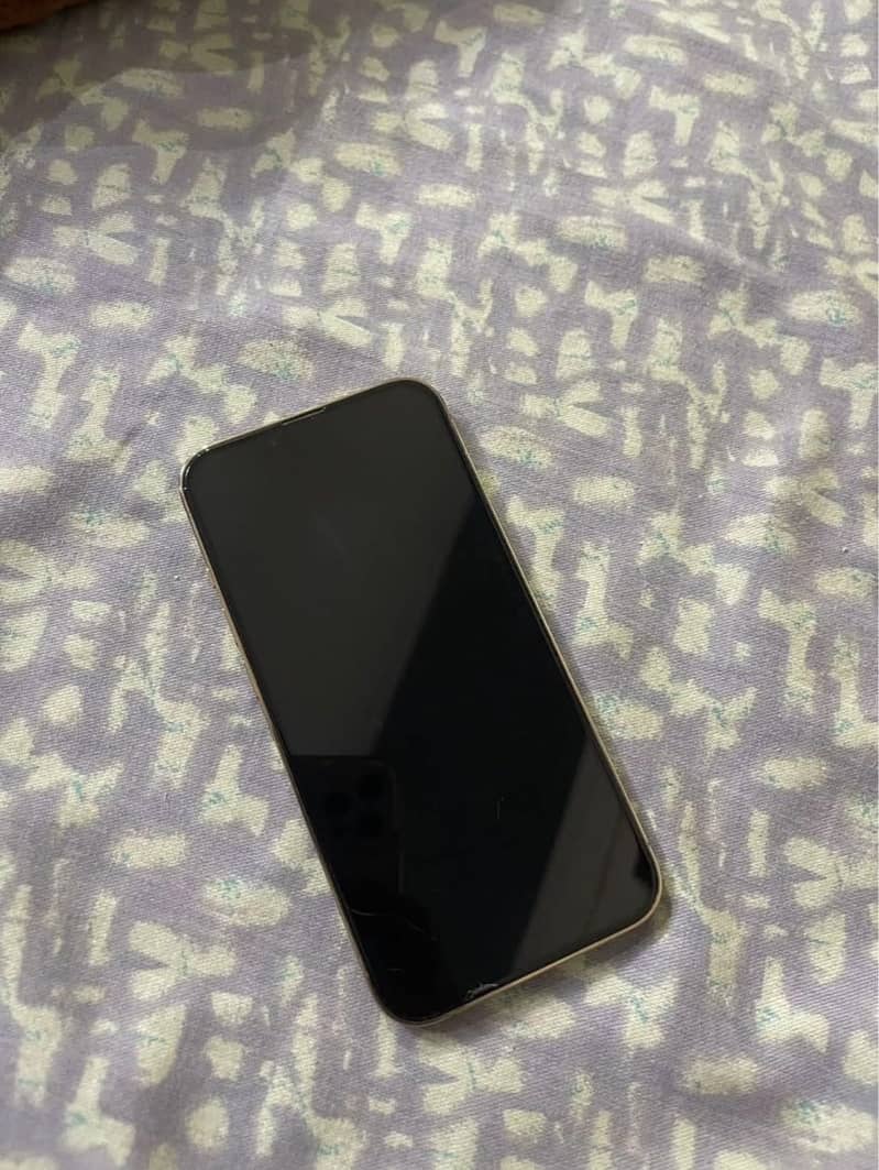 Apple iPhone 13 Pro 1