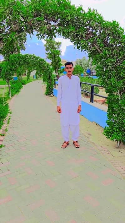 assignment writer