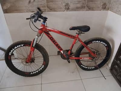 Galant Fat Tyre Mountain Bike