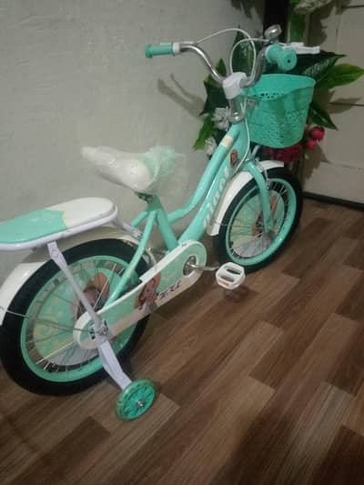 girls cycle/bicycle/kids cycle/kids bicycle
