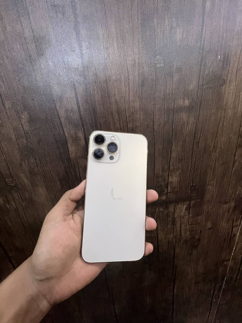 Apple iPhone 13 Pro Max 1