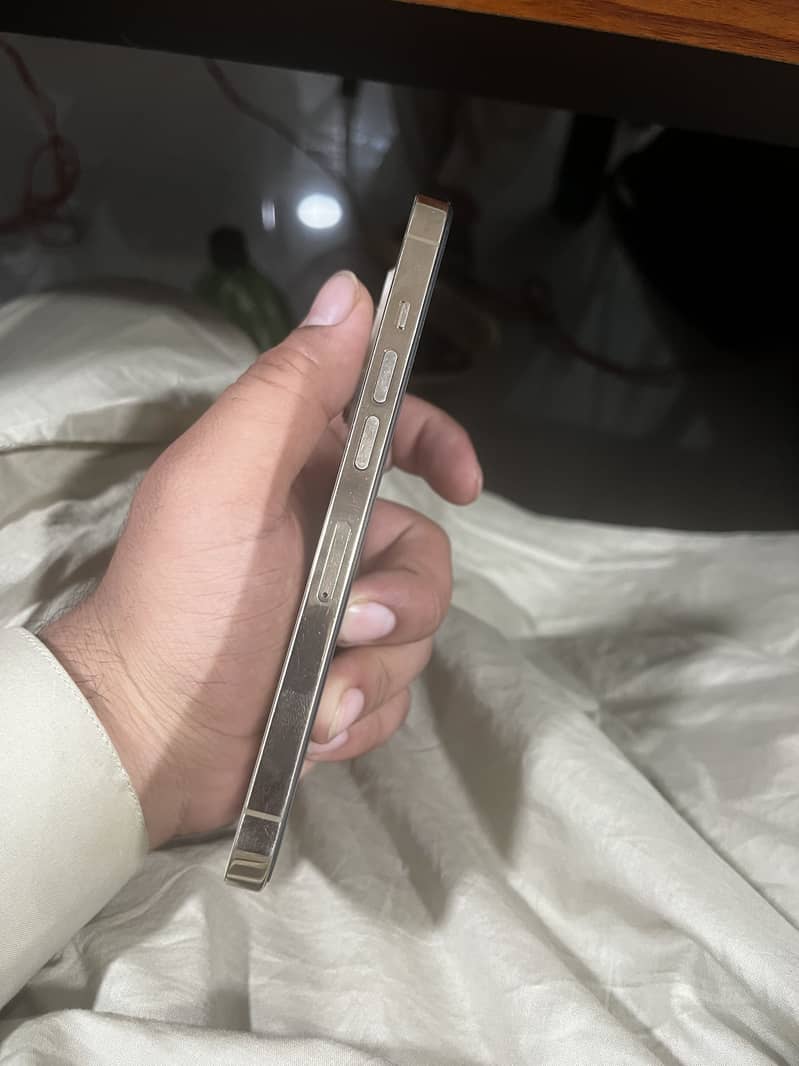 Apple iPhone 13 Pro 2