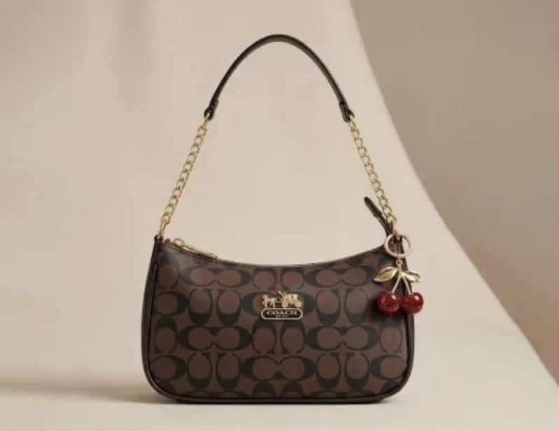Coach bag 1