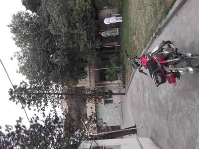 Property For Rent 1.5 Kanal House In Commercial Area Near To Bilal Hospital Rwp In Second