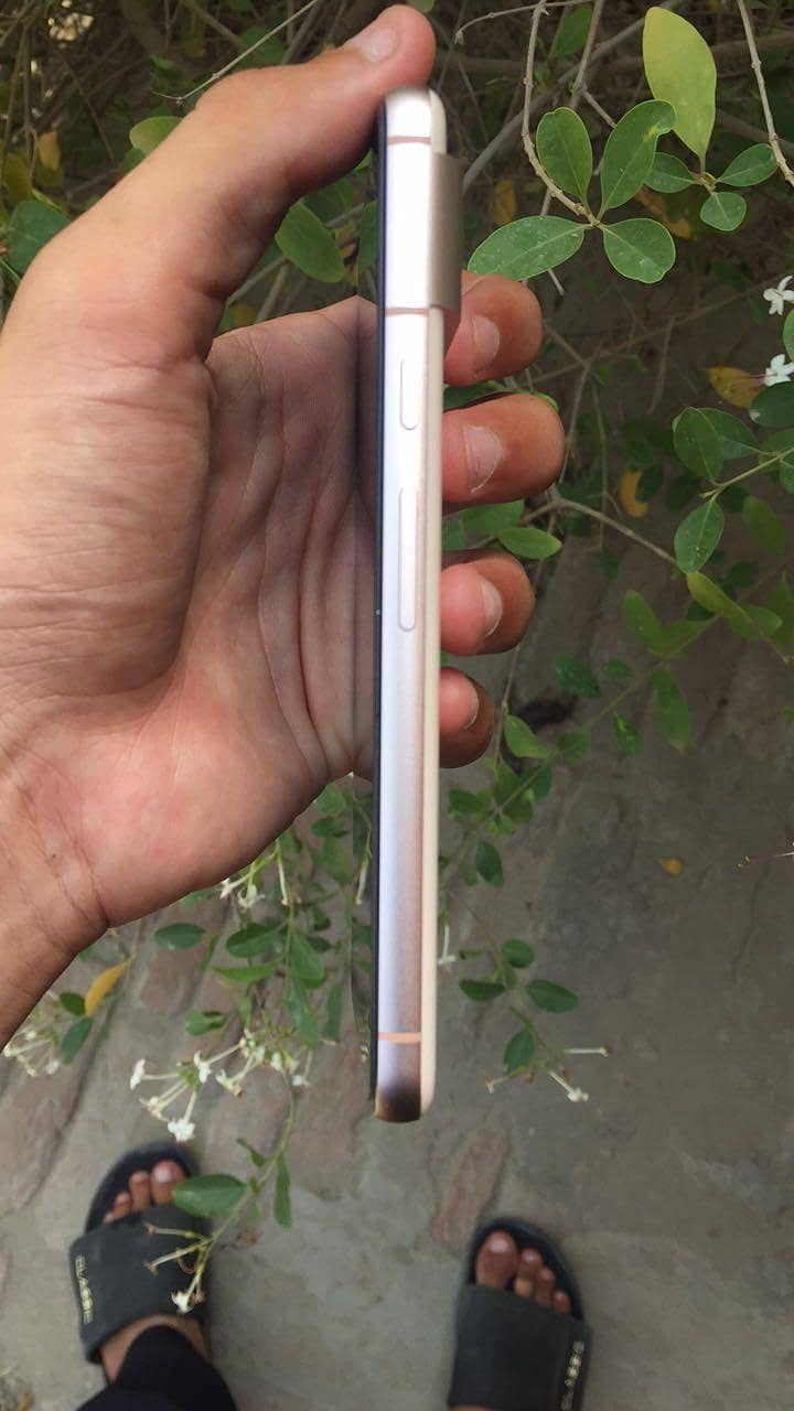 Google Pixel 8 4