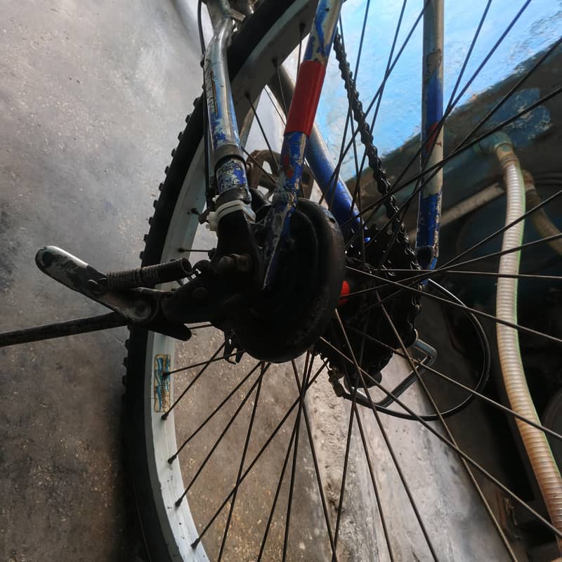 cycle 4