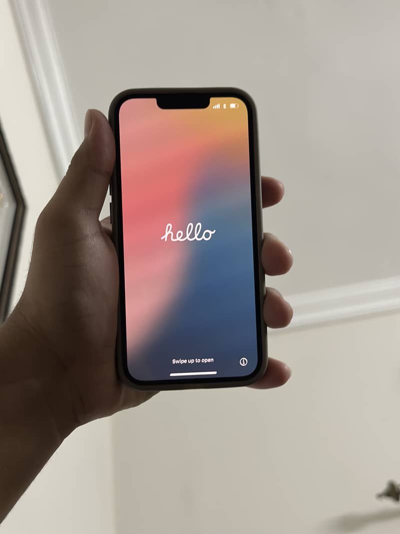 Apple iPhone 13 1